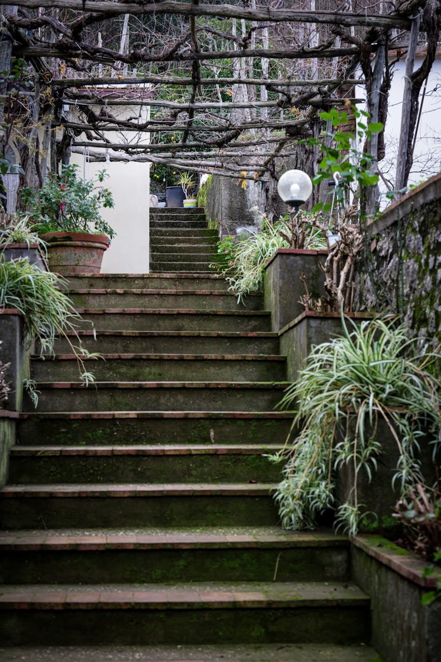 Barriere architettoniche, in Consiglio comunale il terzo stralcio del PEBA