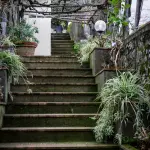 Barriere architettoniche, in Consiglio comunale il terzo stralcio del PEBA