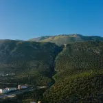 Montagna Fvg, Bini: “Il terziario traina imprese e occupazione”