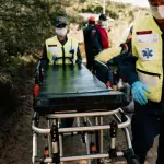 Pums e Protezione civile, il Consiglio comunale va in streaming