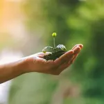 Enactus, Università di Udine seconda con tre progetti sostenibili